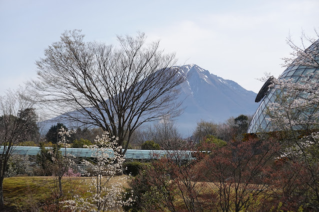 鳥取県西伯郡南部町鶴田 とっとり花回廊 プロムナード橋