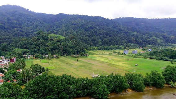 Hamparan sawah dan perbukitan di Pantai Mutiara sukadana photo