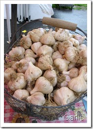 garlic