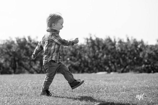 MJD Photography, Martha Duffy, Maternity Family Session, Allyson's Orchard, Walpole, NH, New Hampshire