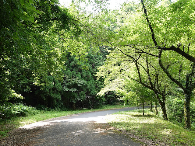 鳥取県西伯郡南部町下中谷　緑水湖遊歩道