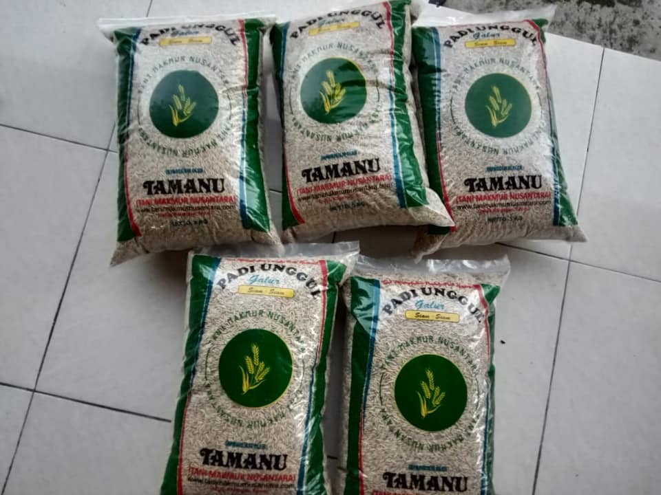 Testimoni Pengiriman Benih Padi Siam Siam 25kg ke Sulawesi 