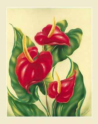 Anthurium flowers