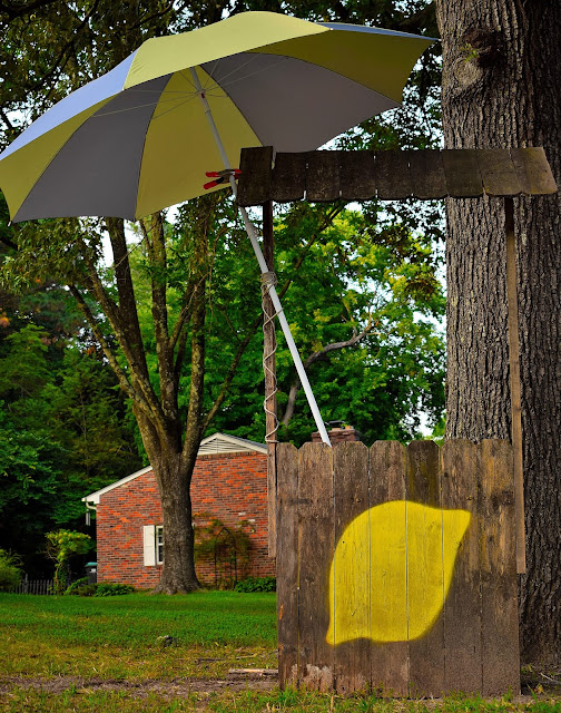 lemonade stand homemade 