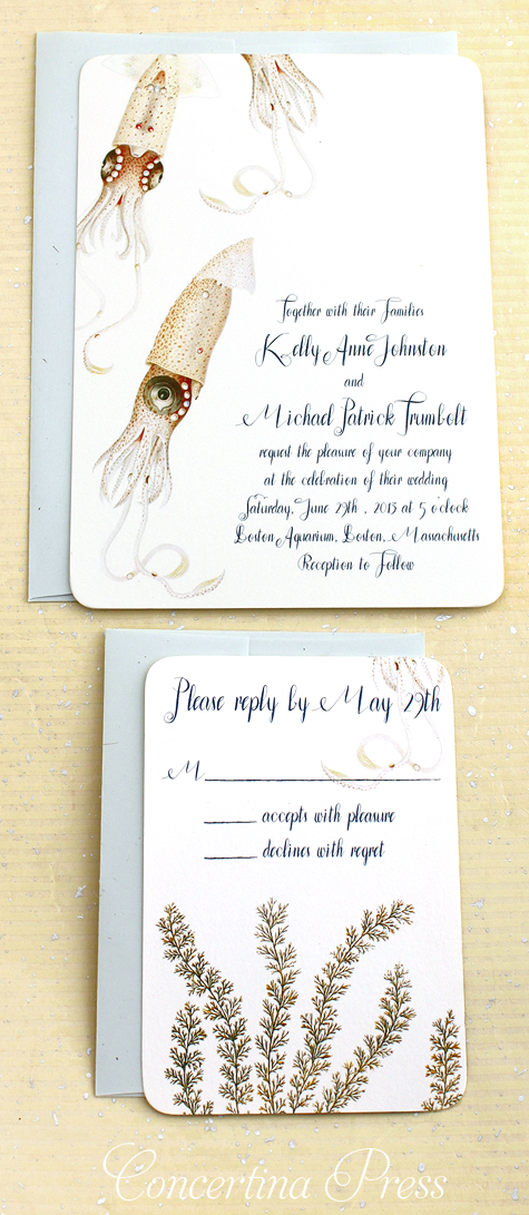 Delicate pink squid wedding invitation with vintage scientific illustrations by Concertina Press