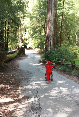 2010-05-22_053
