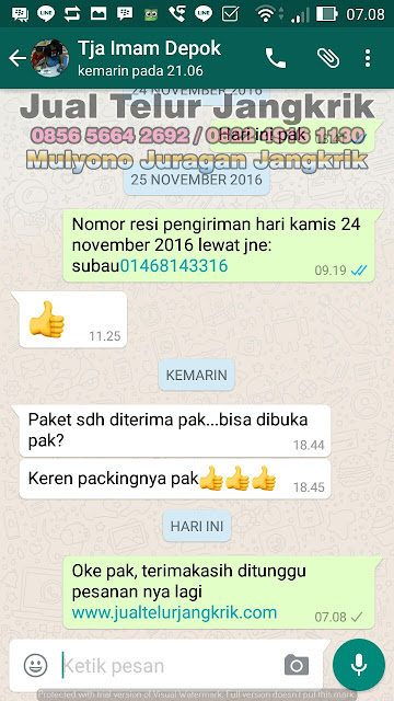 Part 5 Testimoni Jualtelurjangkrik.com Silahkan Beli Telur Jangkrik Disini