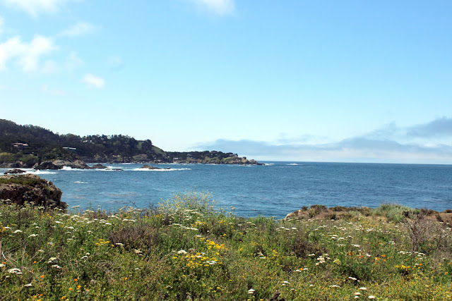 Point Lobos State Reserve, Hidden Beach to Weston Beach