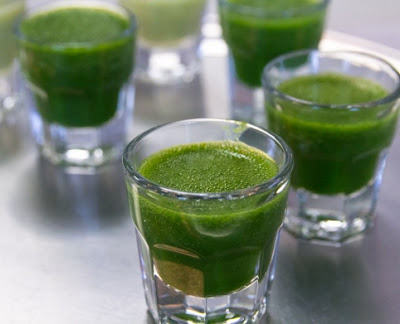 Wheatgrass Juice