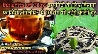 गिलोय से मिलने वाले 10 फायदे, नुकसान व औषधीय गुण|Benefits & side effects of Giloy in Hindi