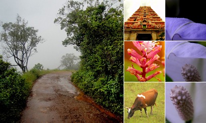View album