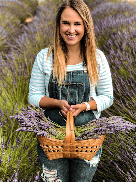 lavender farm oregon