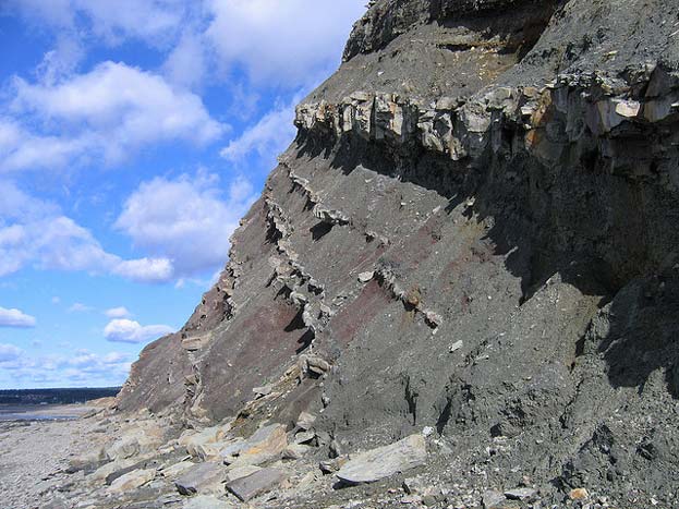 Joggins Fossil Cliffs Mud