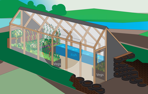 The Greenhouse Of The Future: A Step-By-Step Builder’s Guide