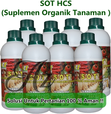 Cara Memaksimalkan Proses Pertumbuhan Pada Tanaman Buah .- Cara alami yang dapat membantu memaksimakan pertumbuhan tanaman buah secara alami dengan menggunakan bahan alami pilihan 