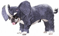 Dog Elephant Costume