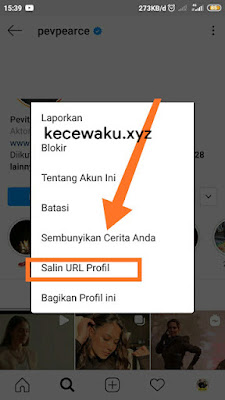 Cara Melihat Foto Profil IG