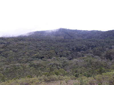 Mathikettan Forest View is one of the places you can visit when you travel to Berijam Lake