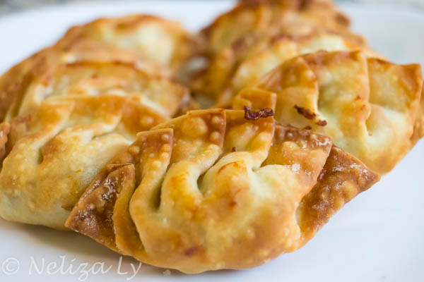 Air fryer Chicken Dumplings