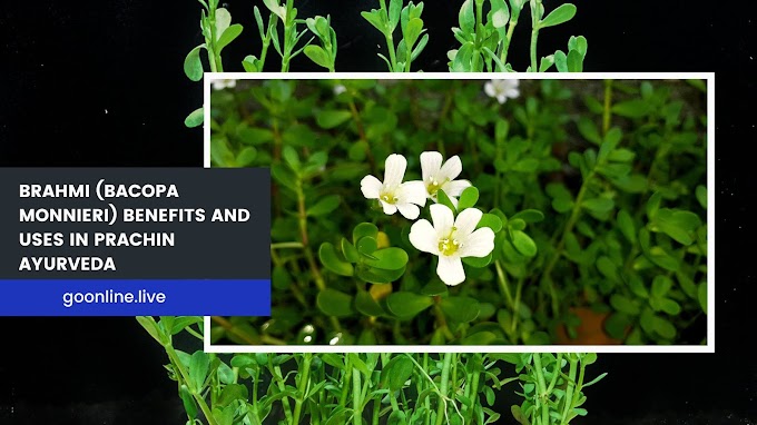 Unveiling the Timeless Elixir: Brahmi (Bacopa monnieri) Benefits and Uses in Prachin Ayurveda