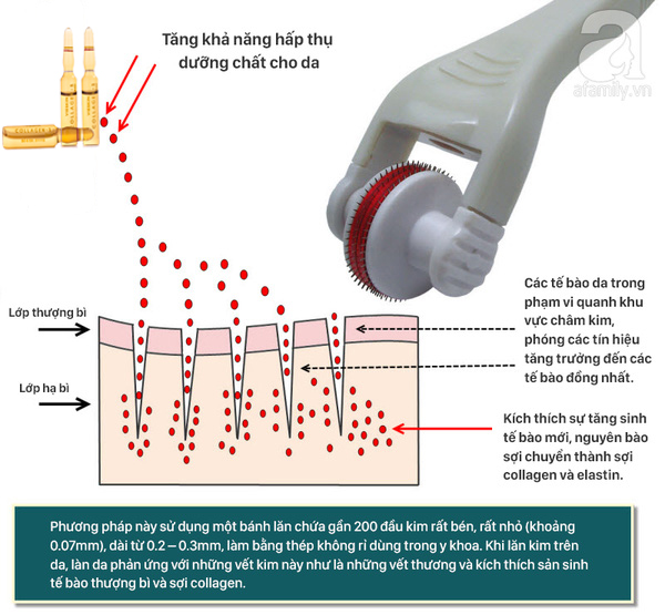 Hướng dẫn tự Lăn Kim tại nhà với tinh chất Collagen tươi Vieskin