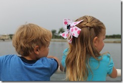 DISNEY 527