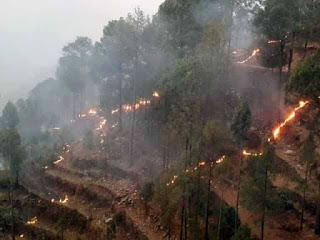 A senior authority depicted the circumstance as 'disturbing' in light of the fact that the 'peak time' for forest  fires uttarakhand