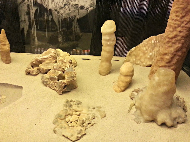 Stalagmites that look a lot like penises