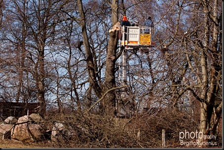 2012_078_0303_jobbpagar