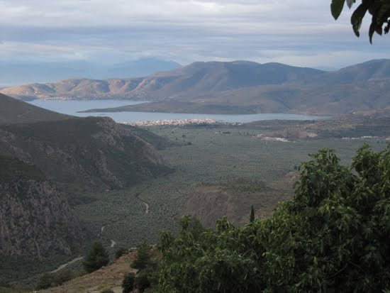 El mar de olivos de Itea