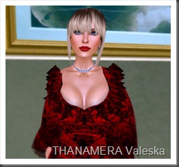 Snapshot_001