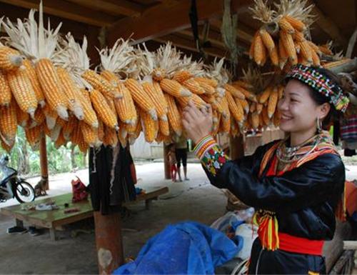 Những phong tục lạ ở mạn thượng du Bắc Việt