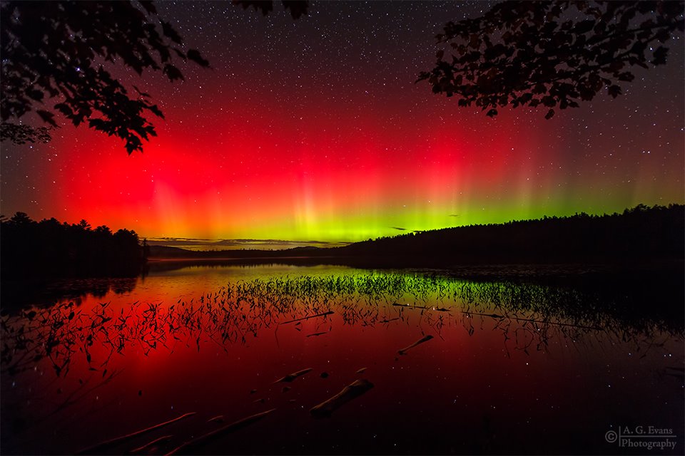 Red spectacle, or aurora borealis.