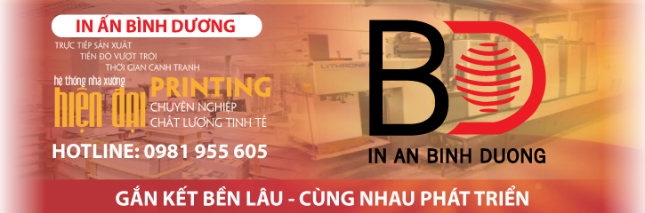 Tư vấn in túi giấy Bình Dương miễn phí