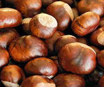 Chestnut