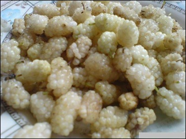 Mulberry fruit