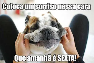 Cãozinho fofo na quinta-feira. Meme para sorrir na quinta-feira