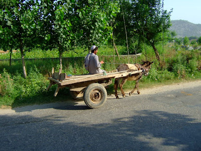 Energy Crisis Solution in Pakistan