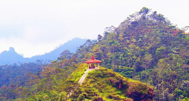 Keindahan Wisata Gunung Suroloyo, Kulon Progo, Yogyakarta