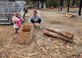 Collecting kindling together