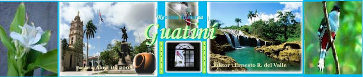 Revista Literaria Guatiní