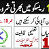 Rescue 1122 Jobs Apply Online - Sindh Emergency Service Rescue 1122 Jobs 2022 - Recruitment by PTS