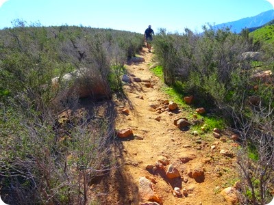 San Jacinto Mountains