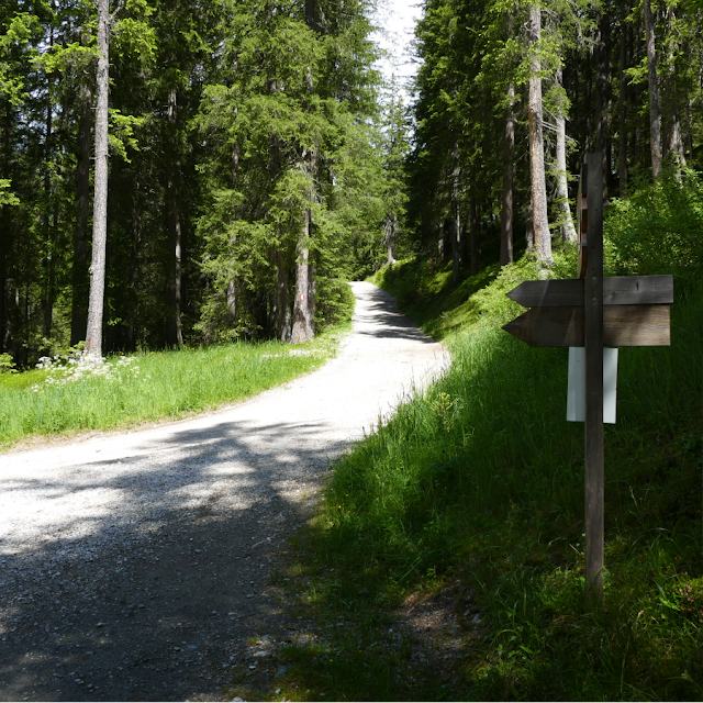 da sesto a san candido cappella nel bosco