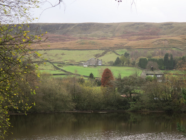 BETWEEN LAMBUTTS AND MANKINHOLES, CALDERDALE. 20TH NOVEMBER 2022