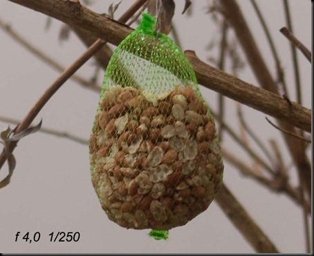 test_20120229_tid1a