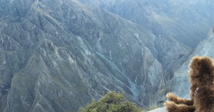 DOS CHANGUITOS EN EL COLCA II