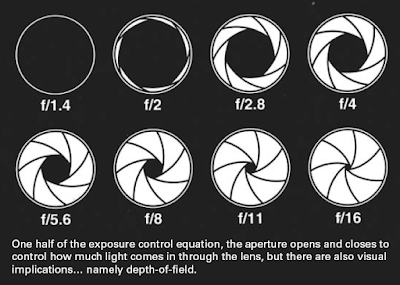 depth of field photography