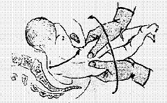 clip_image002[10]
