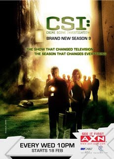 Download   Csi:Las Vegas 9ª Temporada Completa